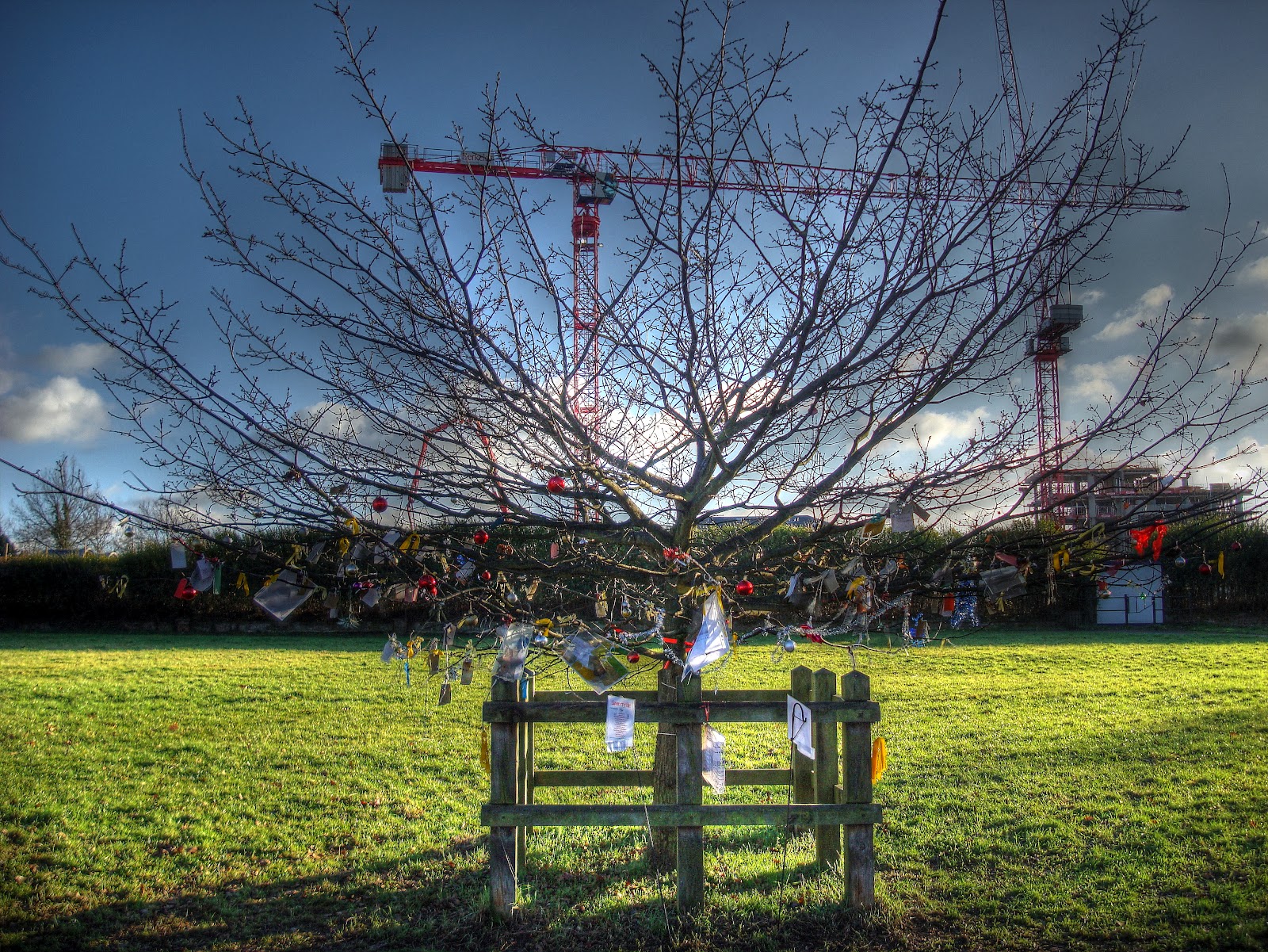 DSC00547_8_9_tonemapped.jpg