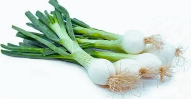 Green Onion: A Taste Sensation for Every Palate