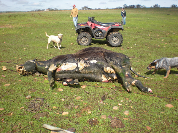 She's out, and very disgusting!
