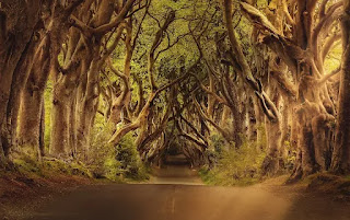 road dream