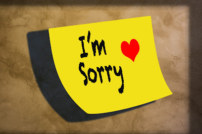 Sorry SMS in Hindi