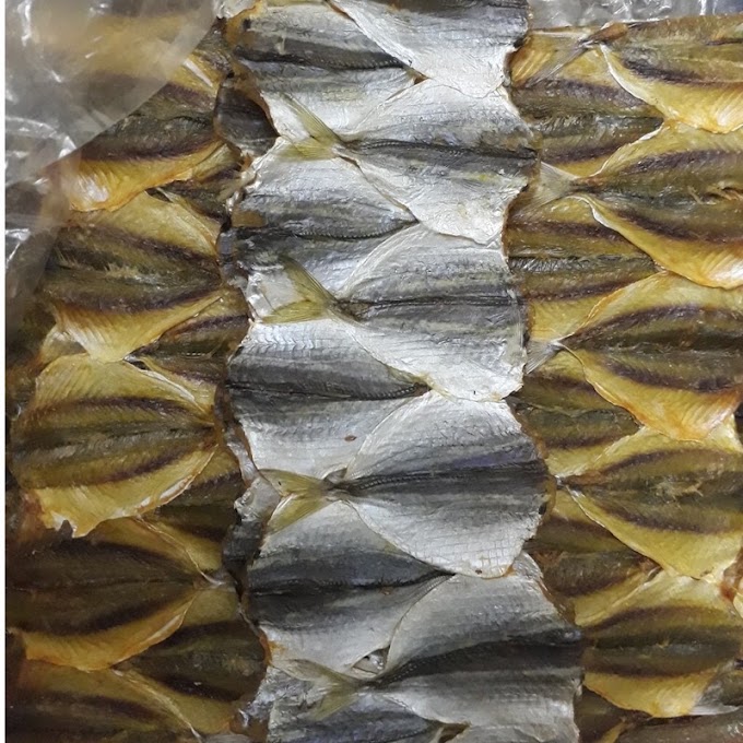 [ sukembahau ] Khô cá chỉ vàng tẩm không ớt loại ngon nhà làm 500g