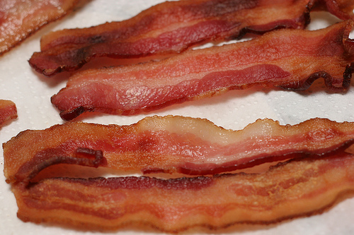 Bacon Day7