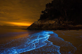 bluetears-pantai-pulau-sembilan