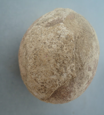 Fossilized Dinosaur Egg 