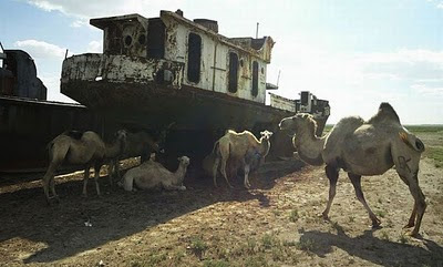 Aral Sea+ 11 789642 Gambar Laut Ke 4 Terbesar Dunia Yang Telah Hilang Tahun 2008