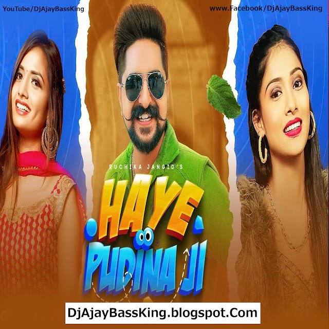 Haye Pudina Ji - Ruchika Jangid (Hard Bass GMS Mix) Dj Ajay Nanpara.mp3