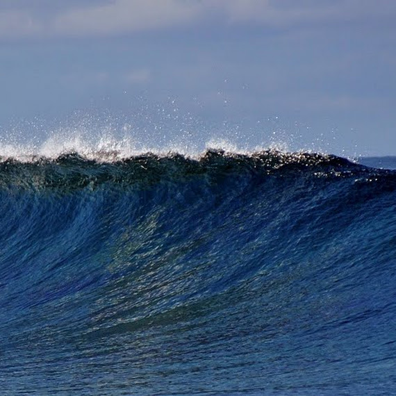 olahraga keren surfing