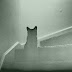 The Ghosts of Cats Past