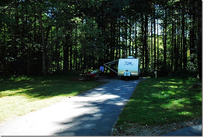 Davidson River_005