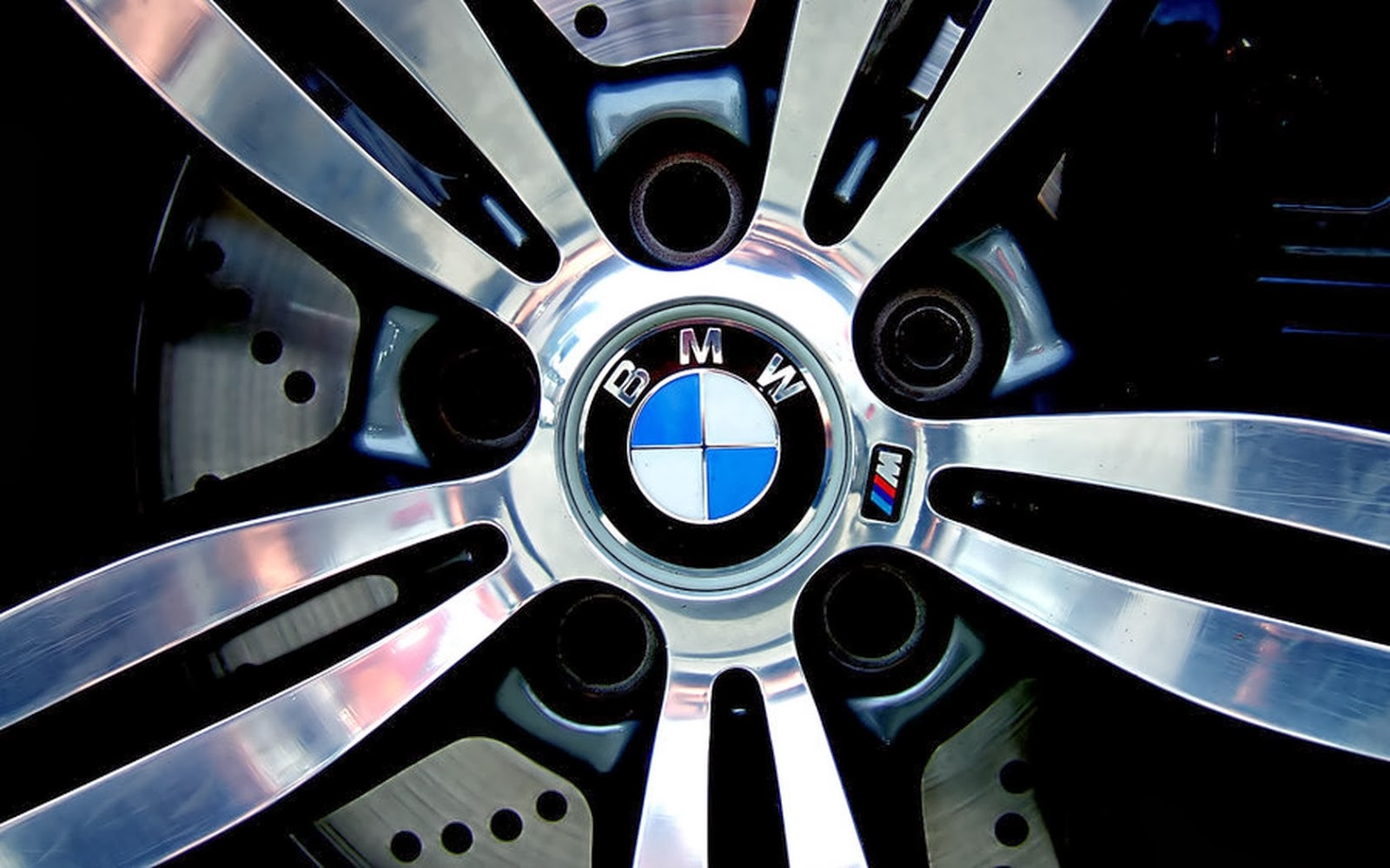 BMW Logo