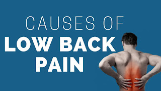 Most Common Cause of Low Back Pain