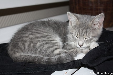 katt2a
