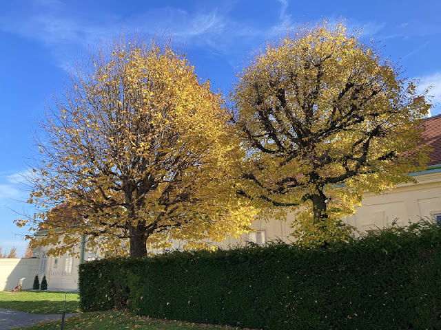 Goldene Herbstbäume vor dem Schloss Belvedere in Wien