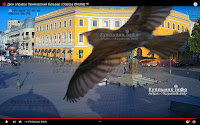 Чарівний птах над Дюком фото веб камера