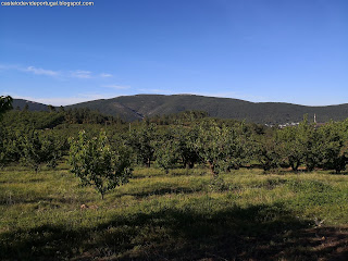 PORTUGAL, PLACES / São Julião, Portalegre, Portugal