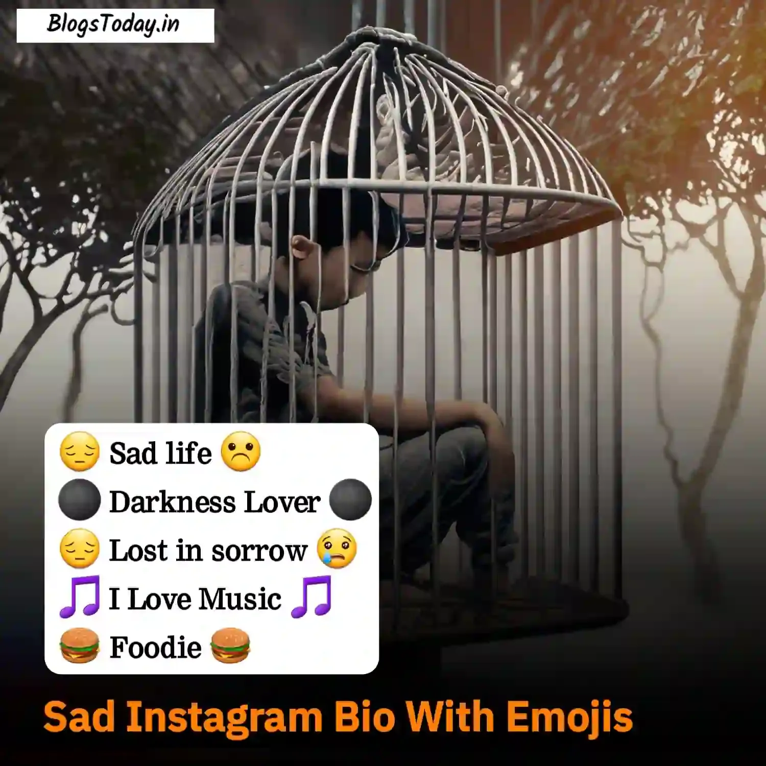 sad instagram bio with emojis image 9