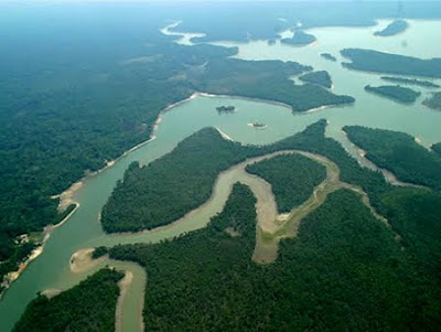 Floresta Nacional de Humaitá | Amazonas