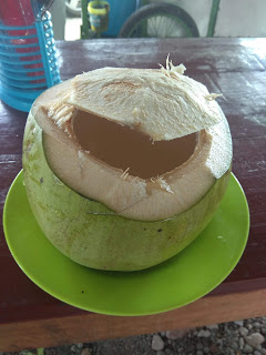 Kelapa Hijau Unggul