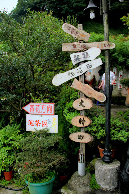 大梯田花卉生態農園 繡球花