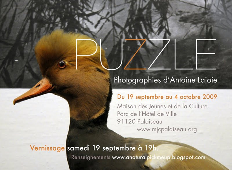 [flyer+canard+02-1.jpg]