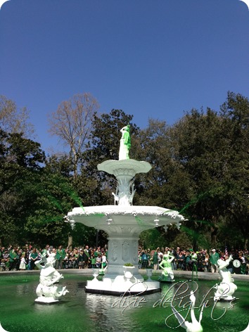 photo 1 (31)