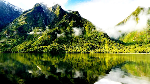 Fiordland