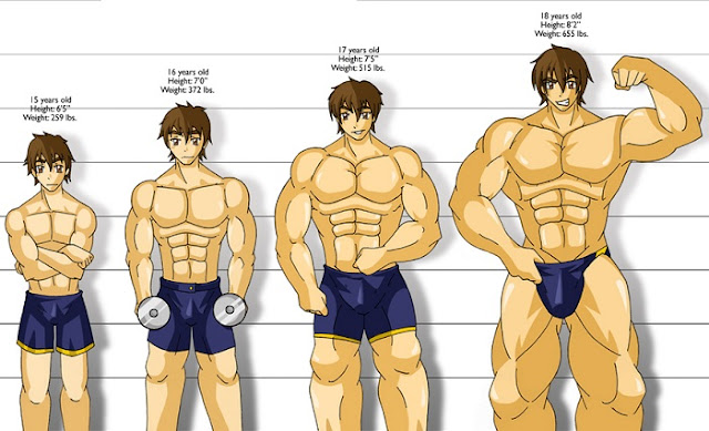 4 Secret Muscle Building Principles