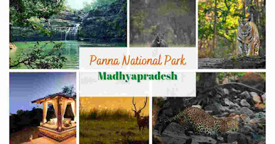 Panna National Park:नाईट सफारी का मजा लेने के लिए देश का बेस्ट टाइगर रिजर्व के बारे में जानें-