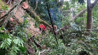 Daerah Longsor di Banyuwangi Menyebabkan Warga Terisolir, Bupati Ipuk Minta Segera ditangani