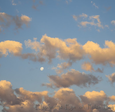 Moon and clouds