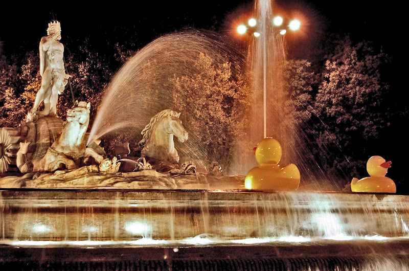 madrid neptuno fuente patitos nocheenblanco