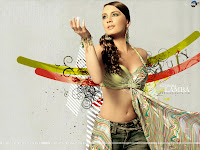 Minissha Lamba wallpaper , Minissha Lamba photos , Minissha Lamba pictures