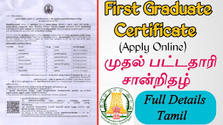 TN First Graduate Certificate PDF Free Download
