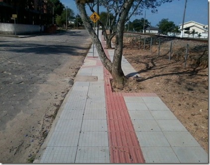 Morro da Fumaça-arvore no caminho