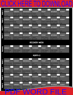 Insanity workout calendar