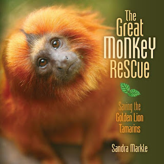 Great Monkey Rescue by Sandra Markle book cover