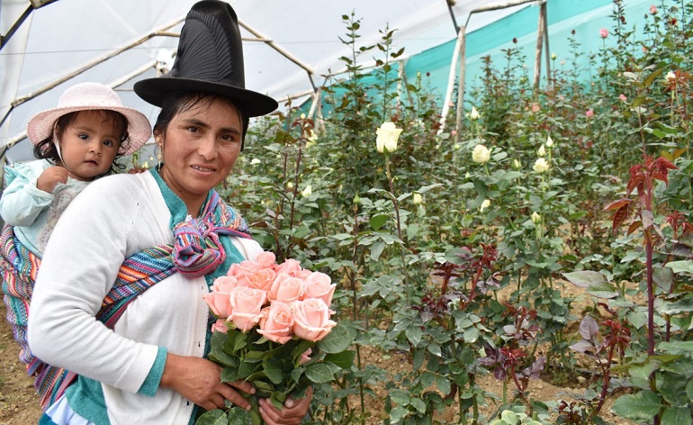 Ancash: Usuaria del programa juntos emprende negocio de Rosas a 2 mil metros de altura