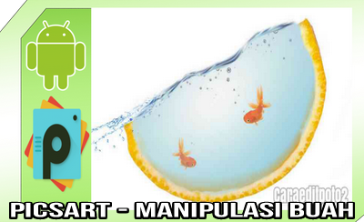 Editan PicsArt Unik Manipulasi Buah