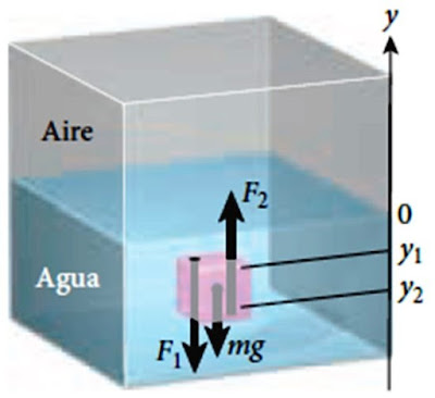 Diagrama de cuerpo libre de una porción de fluido en  equilibrio estático