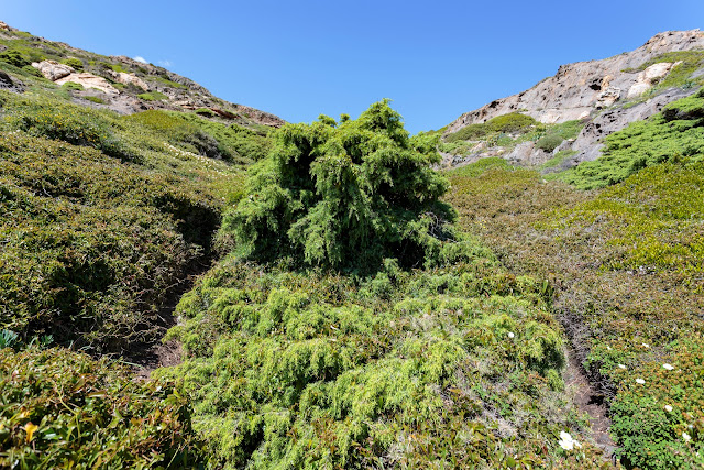 Природный парк Cap de Creus