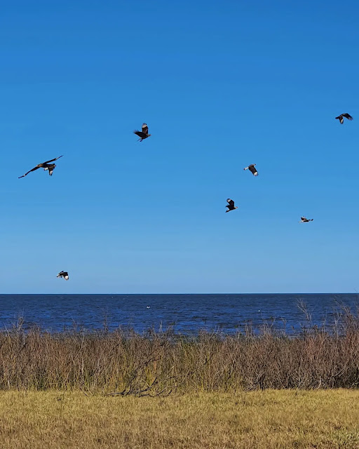 Bañado del Yacaré, Uruguai