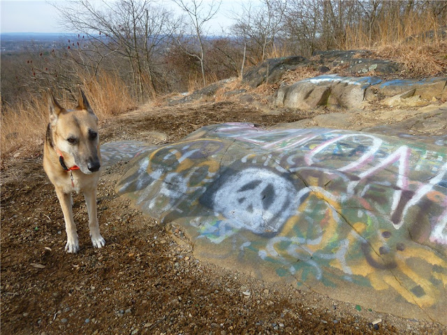 Graffiti and lots of broken glass watch those paws at a scenic overlook on