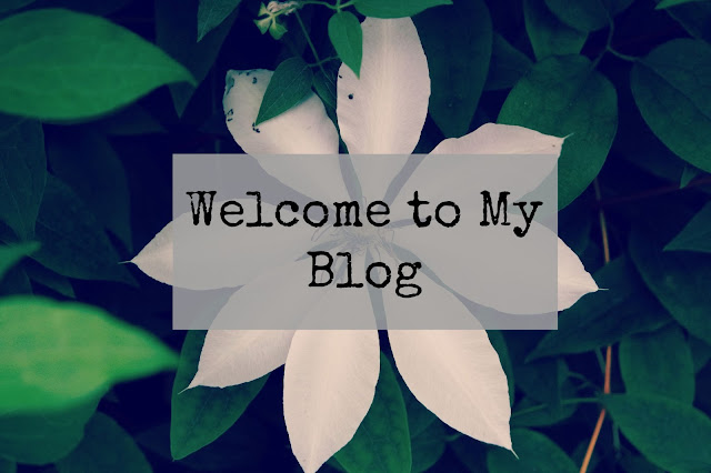 welcome to my blog