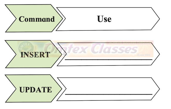 Chapter 2 - Introduction to DBMS Balbharati solutions for Information Technology (IT) 11th Standard HSC Maharashtra State Board