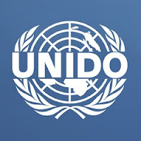 UNIDO Jobs - Information Security Consultant (Home-Based)