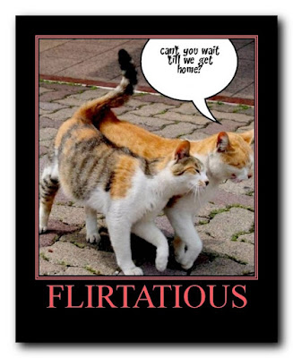 Funny Images Captions on Ticklebear Funny Animal Captions