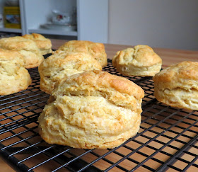 Sour Dough Biscuits