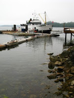 Frances Barkley Ferry, MV Lady Rose