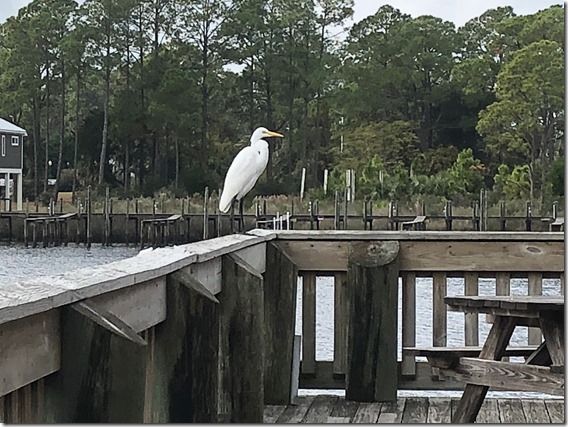 Carrabelle 18Nov24 (18)